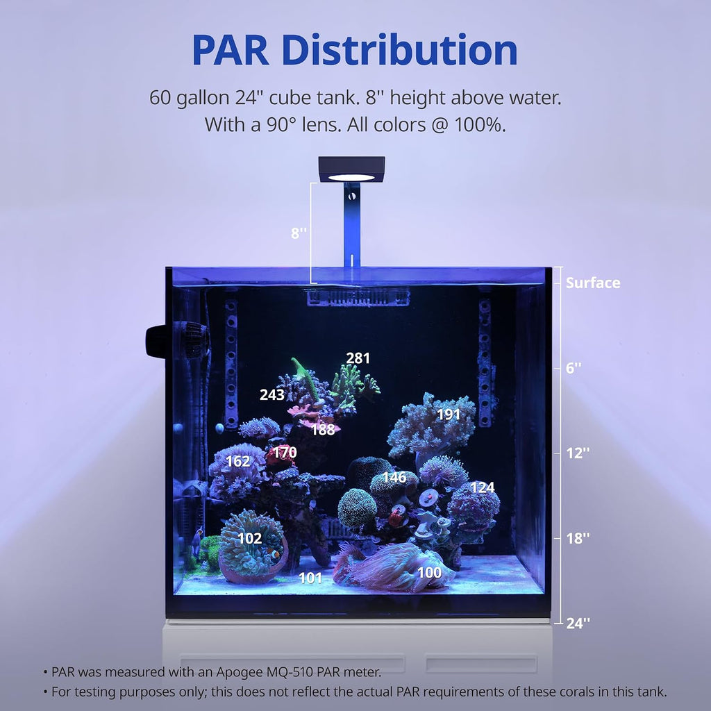 NavaReef LED Reef Light, 65W Aquarium Lighting for Soft/LPS Corals