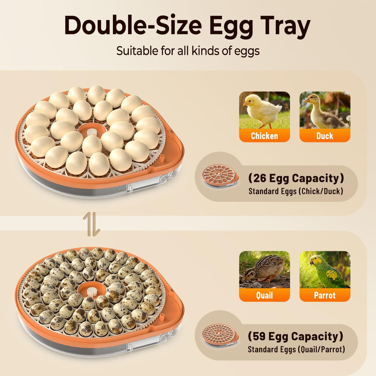 Incubators for Hatching Eggs with Smart Voice Assistant, 26 Eggs Incubator with Automatic Egg Turner and Humidity