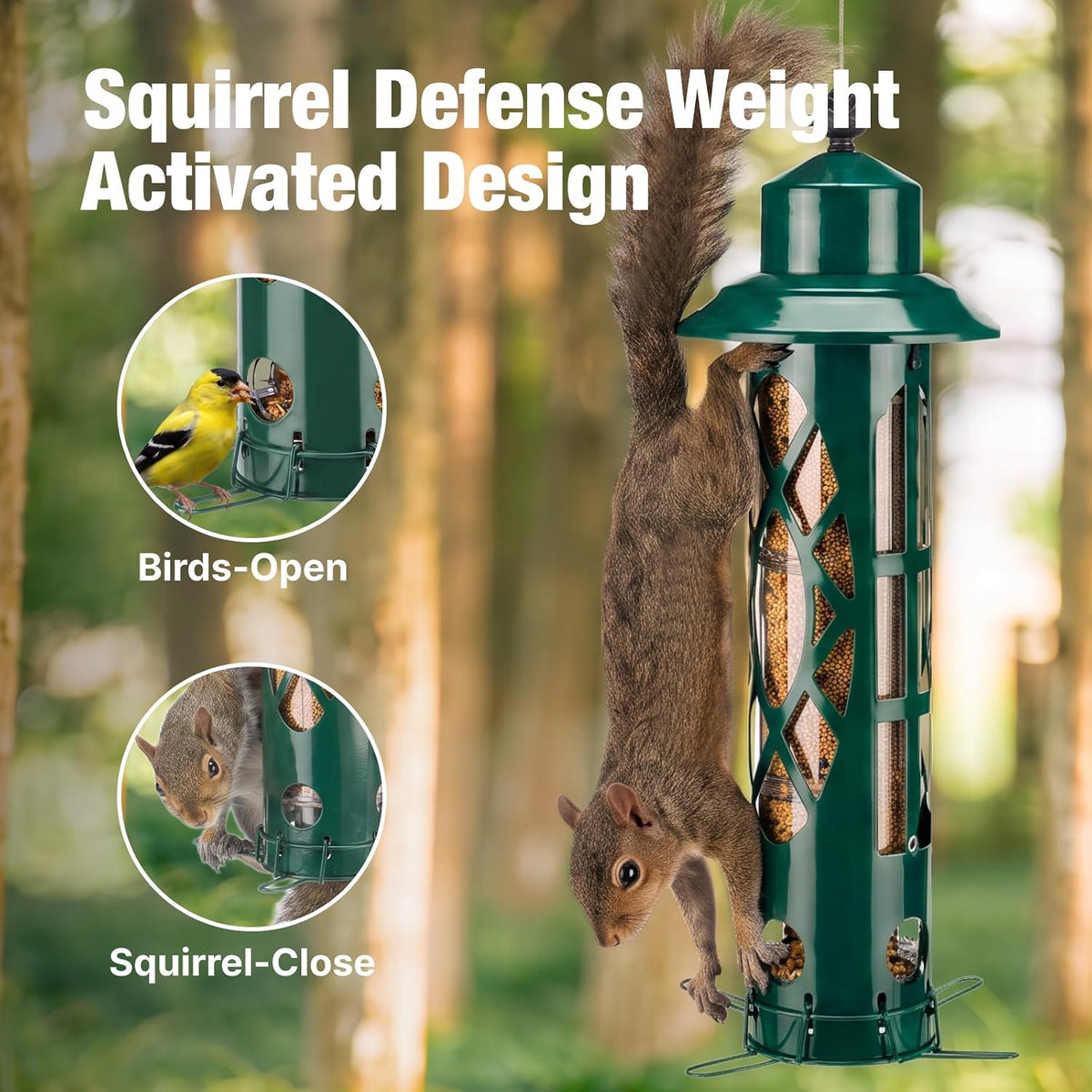 Squirrel Proof Bird Feeders for Outdoors Hanging, Holds Up to 3.5 lb