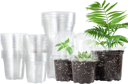 Clear Nursery Pots with Humidity Domes, 3.5/4/5 Inch, 36-Pack | Clear PET, 12 Each of 3 Sizes, Root and Moisture