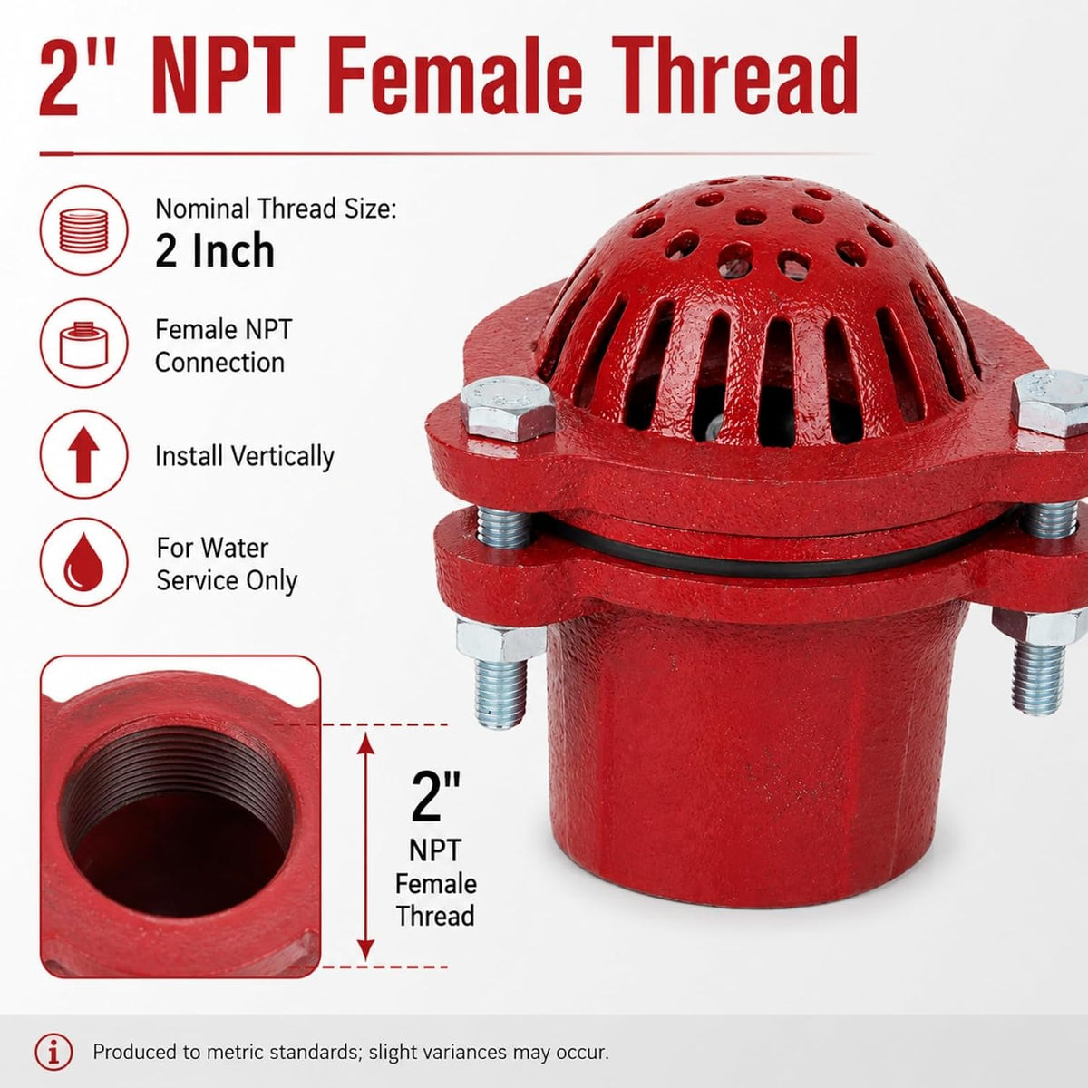 2 Inch Well Pump Foot Valve, Cast Iron NPT Check Valve with Strainer