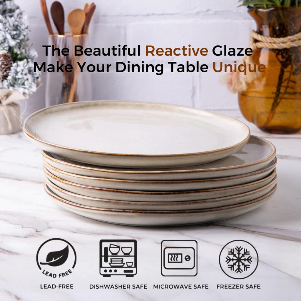 Ceramic Dinner Plates Set of 6, 10.5 Inch Stoneware Plates Set