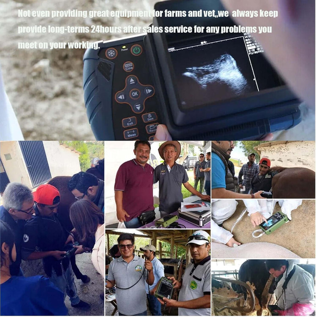 DAWEI Professional Vet Ultrasound Machine Portable Veterinary Handheld Scanner B-Ultra Sound with 3.5MHz Probe for