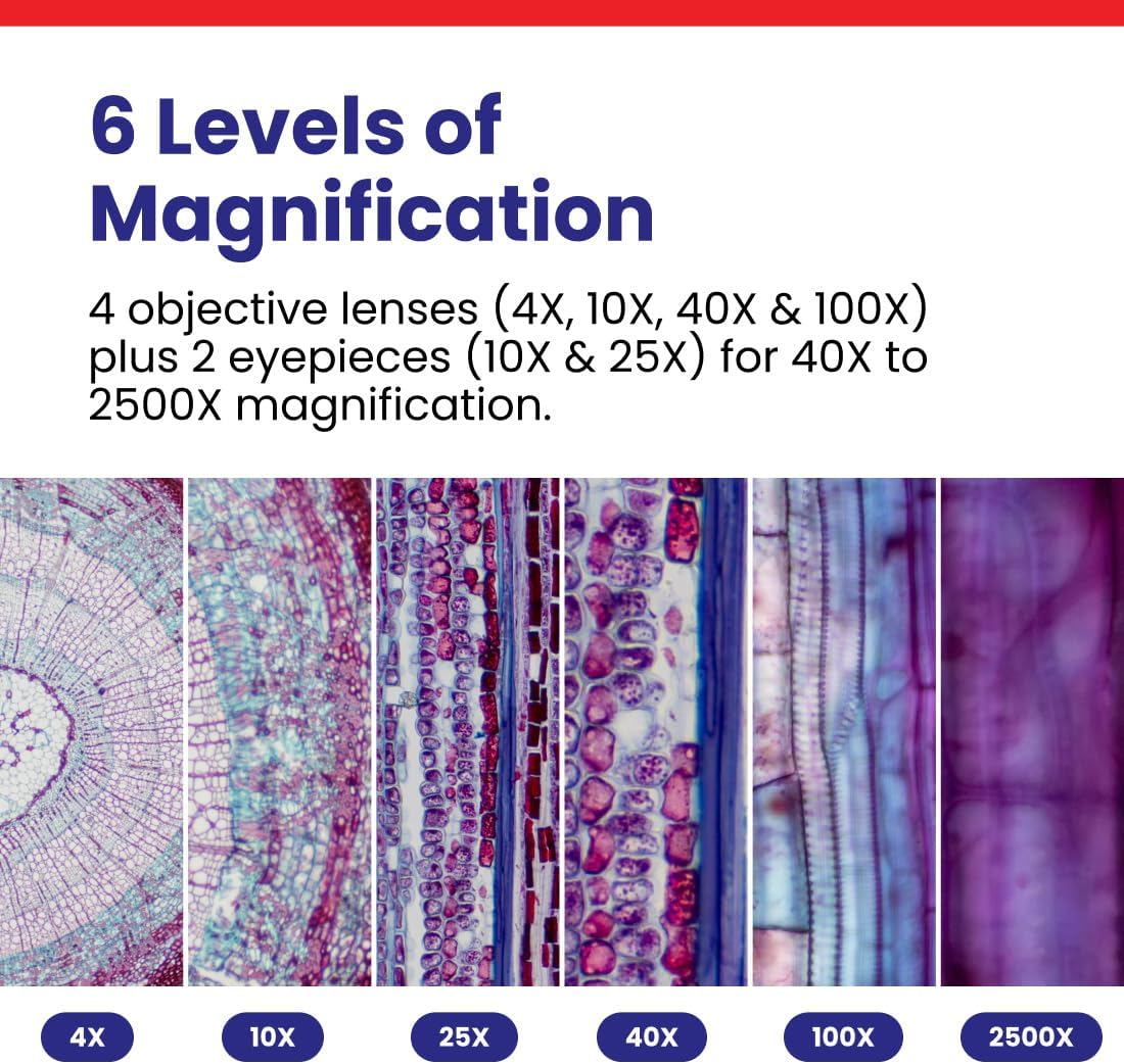 B120C-E5 Series & Professional LED Binocular Compound Microscope | 40X-2500X Magnification Range 5MP CMOS Sensor USB