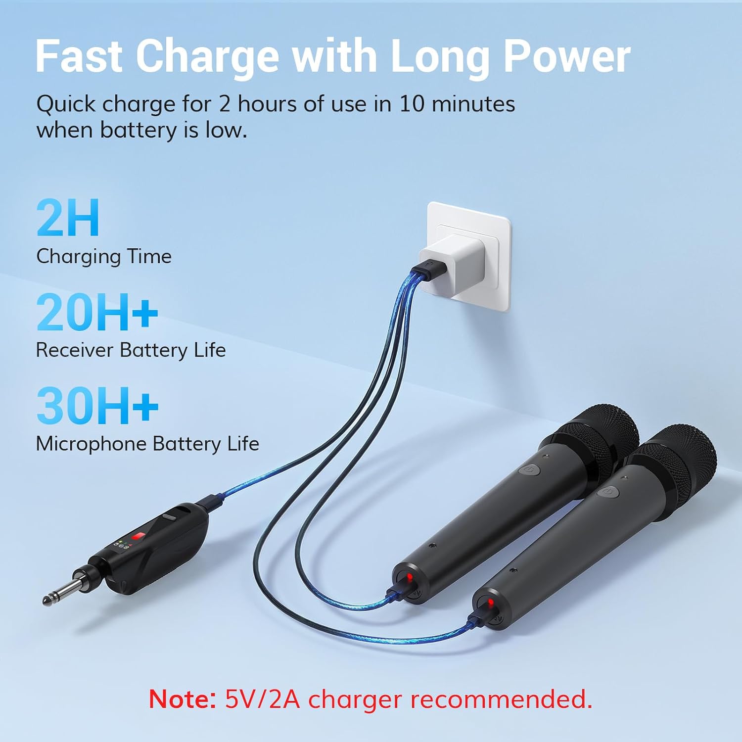 2.4G Dual Wireless Microphones, Rechargeable Handheld Mic TW-220 | Cordless Microphones System with Receiver, Karaoke