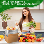4 Pack Insulated Shipping Boxes for Frozen Food with Ice Packs, S
