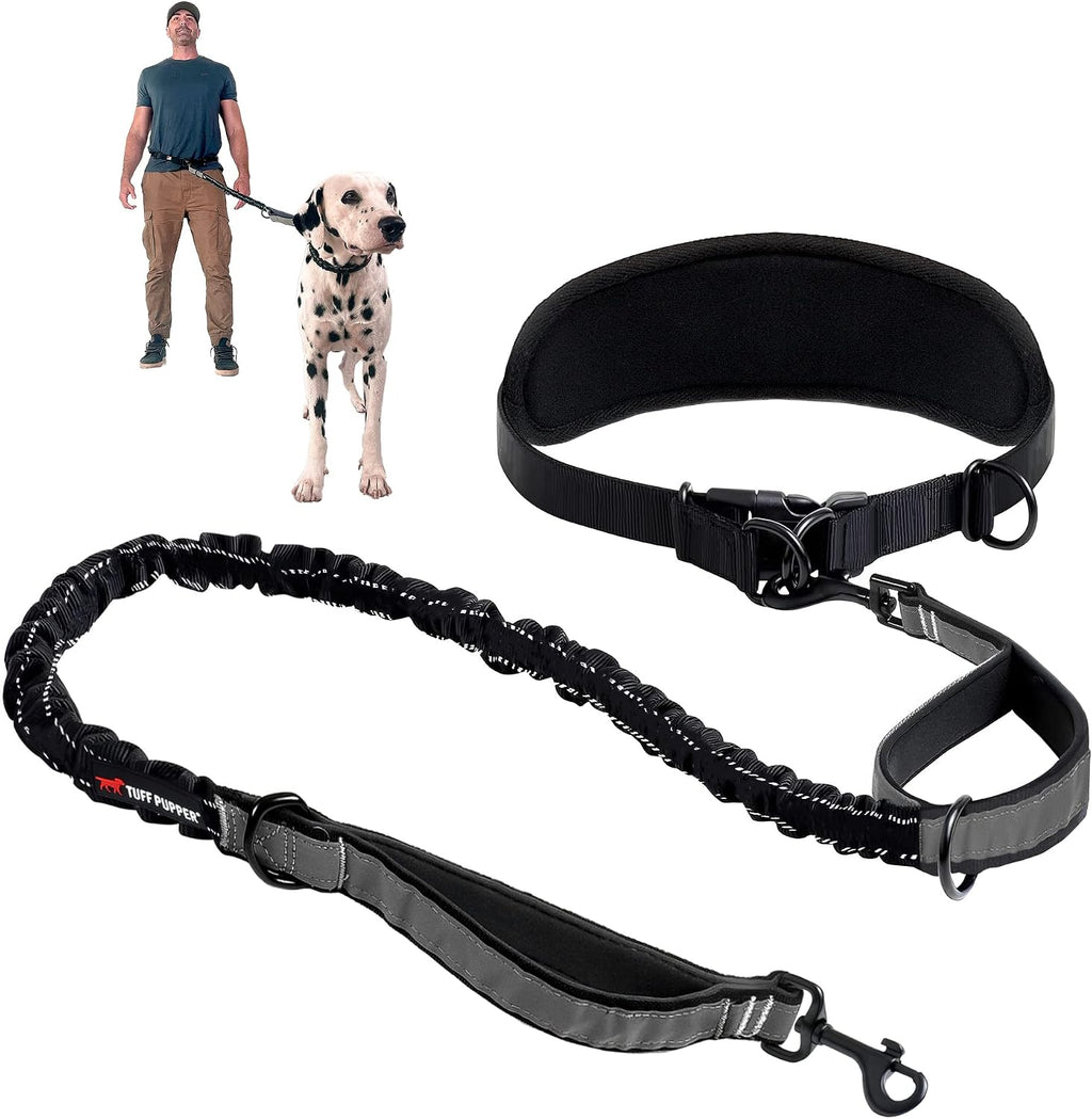 Hands Free Bungee Dog Leash, Waist Belt for Running & Walking