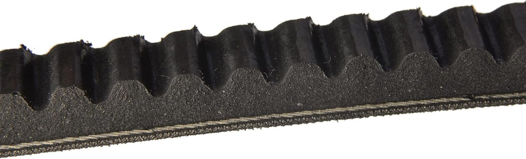 Continental 17291 V-Belt