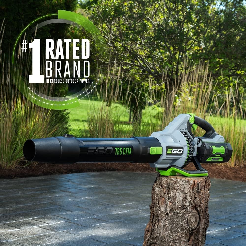 Cordless Electric Leaf Blower, 765 CFM, With Battery - LB7654