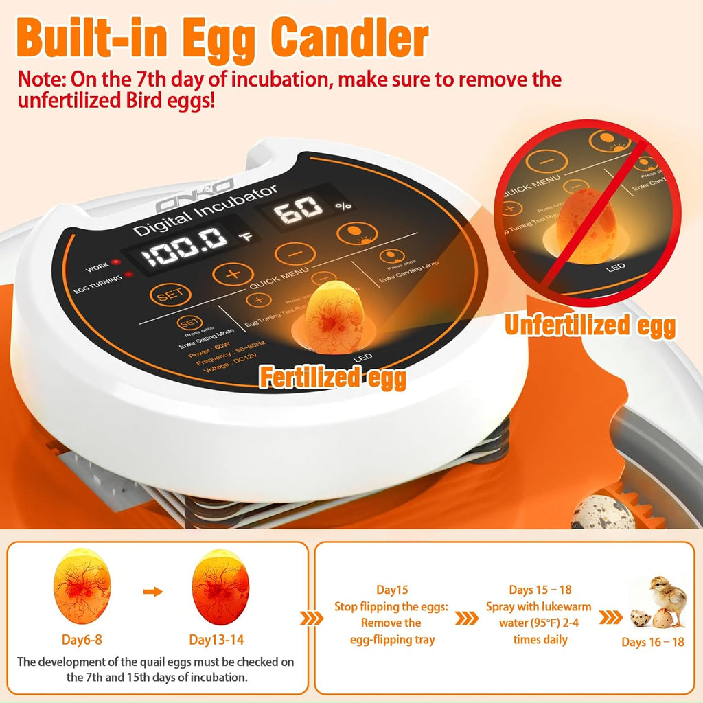 Quail Egg Incubator with Automatic Turner and Humidity Control