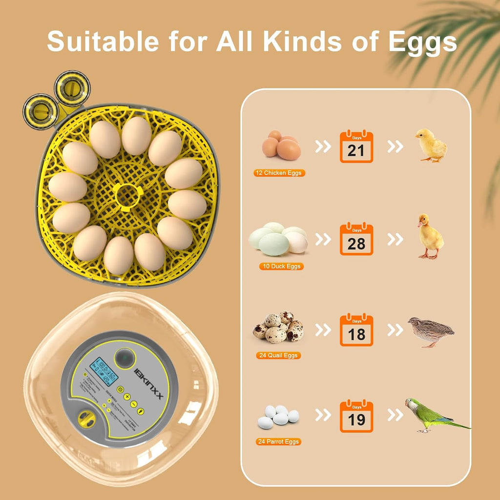 Incubator for Hatching Eggs - 12 Egg Capacity, 360° Viewing for Chicken