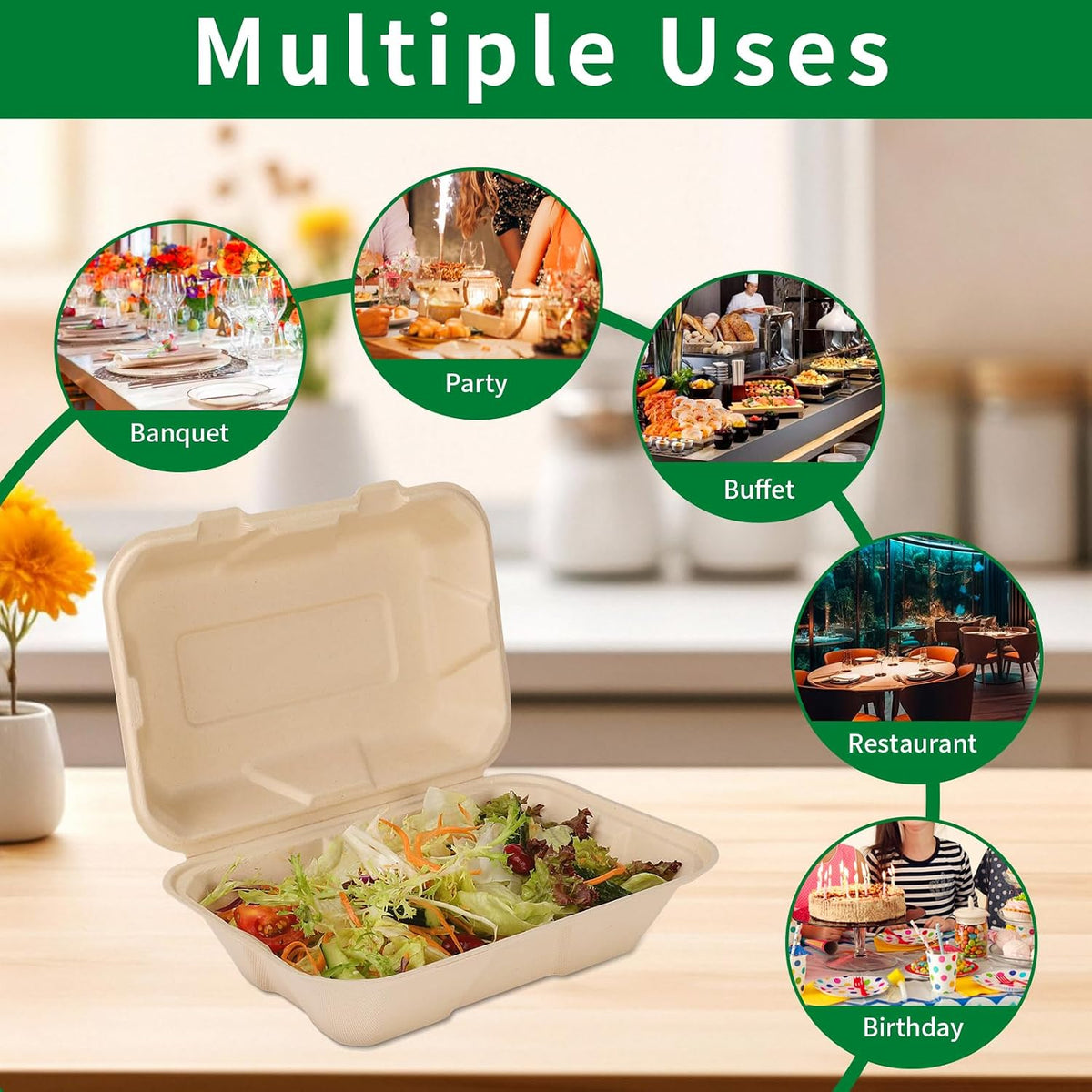 Disposable 50 Pack 9×6 Inch Take Out Lunch Box Containers with Lids