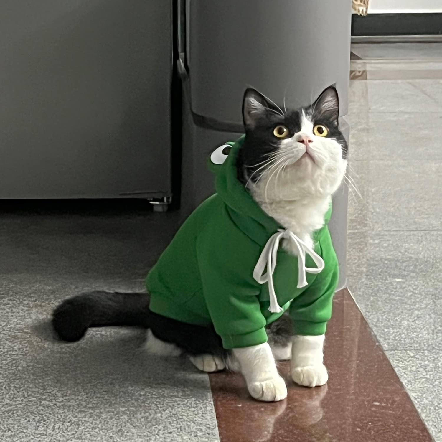Dog Hoodie Basic Sweater Coat Cute - Frog Shape Warm Jacket Pet Cold Weather Clothes Outfit Outerwear for Cats Puppy