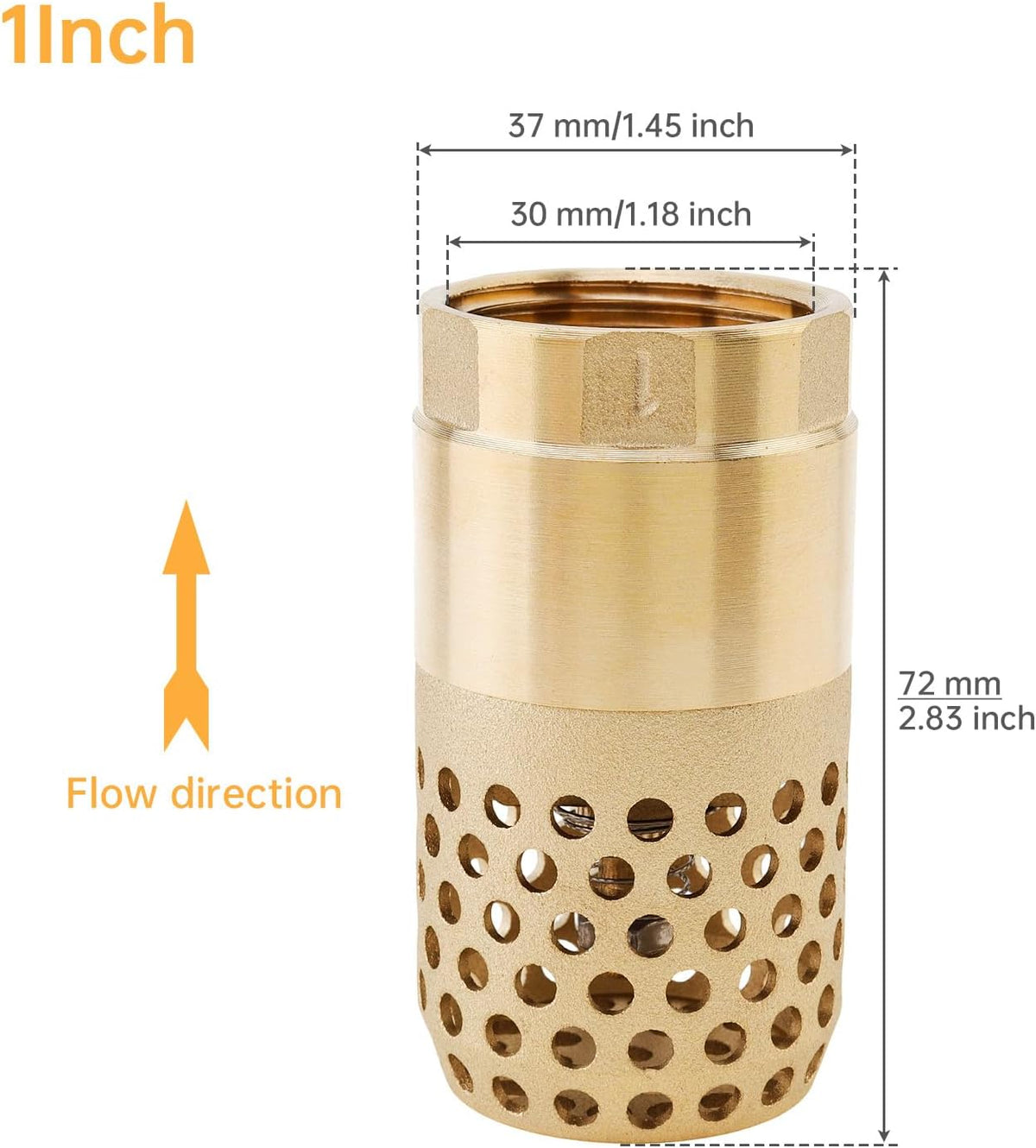 1In Brass Foot Valve BSP DN25 Spring Mesh Check Valve Backflow Preventer