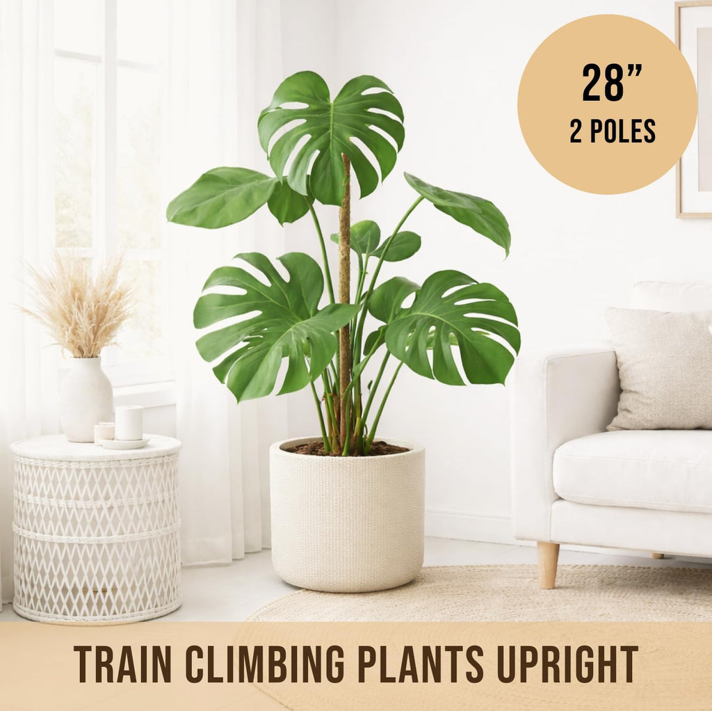 Moss Pole Monstera Plant Support – 2 Pack 28” Bendable Moss Pole Monstera Plant Support, Plant Stakes for Indoor