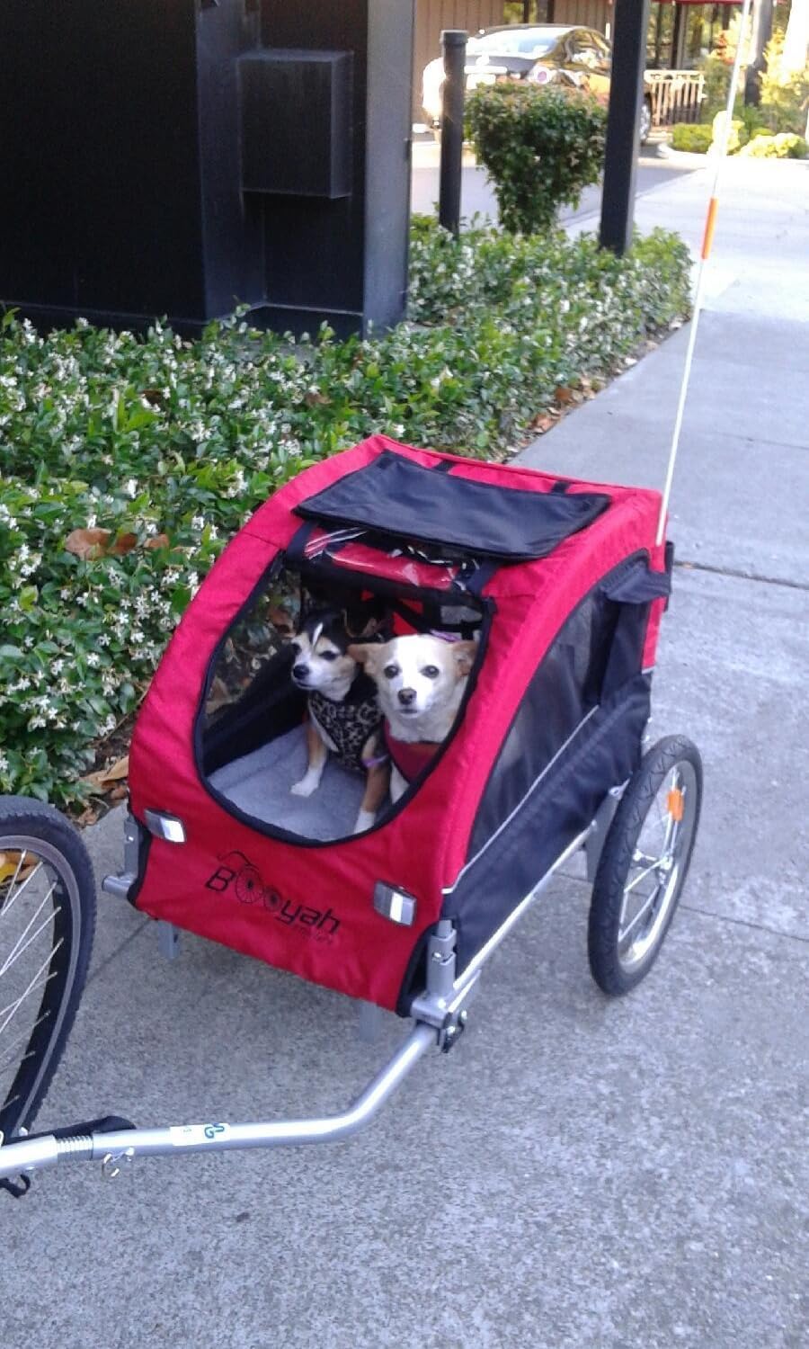 Booyah Medium pet Dog Bike Bicycle Trailer, Stroller and Jogger with Suspension,40 pounds, Adjustable Handlebar, Slow