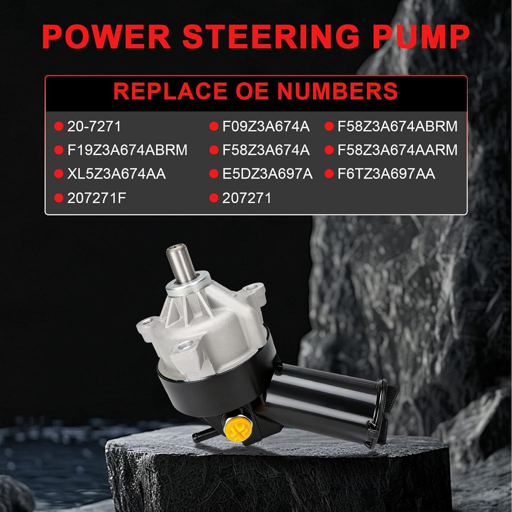 Power Steering Pump with Pulley Replaces F09Z3A674A