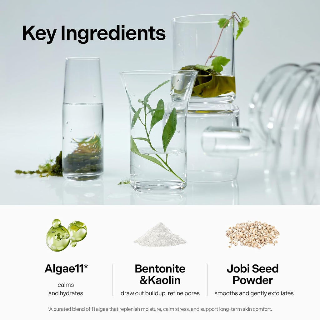 Seaweed Detox Wash Off Mask, Cooling Korean Clay Mask with Bentonite, Kaolin, Glycerin & Seaweed Extracts for Pore