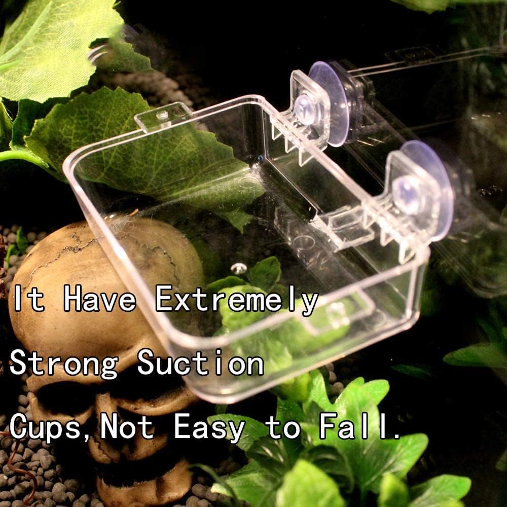 2 Pcs Chameleon Bowl, Reptile Feeding Food, Water Dish Gecko Worm Feeder Anti-Escape Chameleon Supplies Accessories