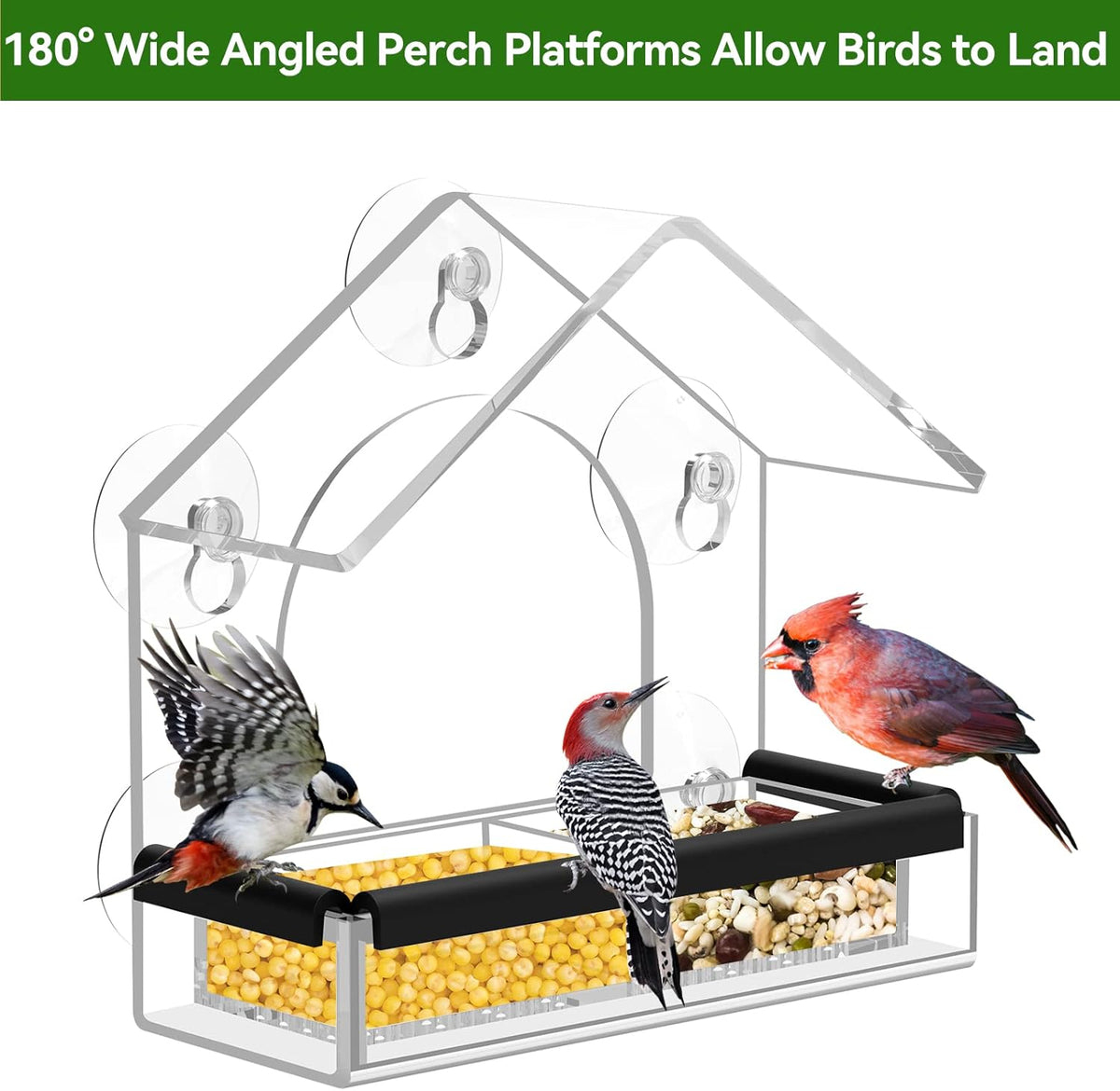 Clear Window Bird Feeder with 5 Extra Strong Suction Cups, DY-SKTY Sturdy and Durable Acrylic Birdfeeders for Viewing