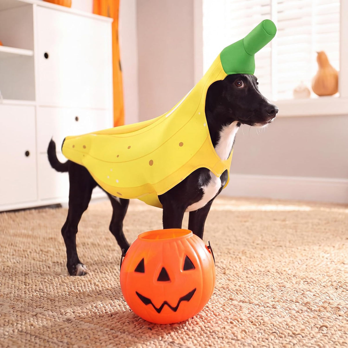 Banana Dog Costume Halloween Cosplay Outfit for Dogs, S