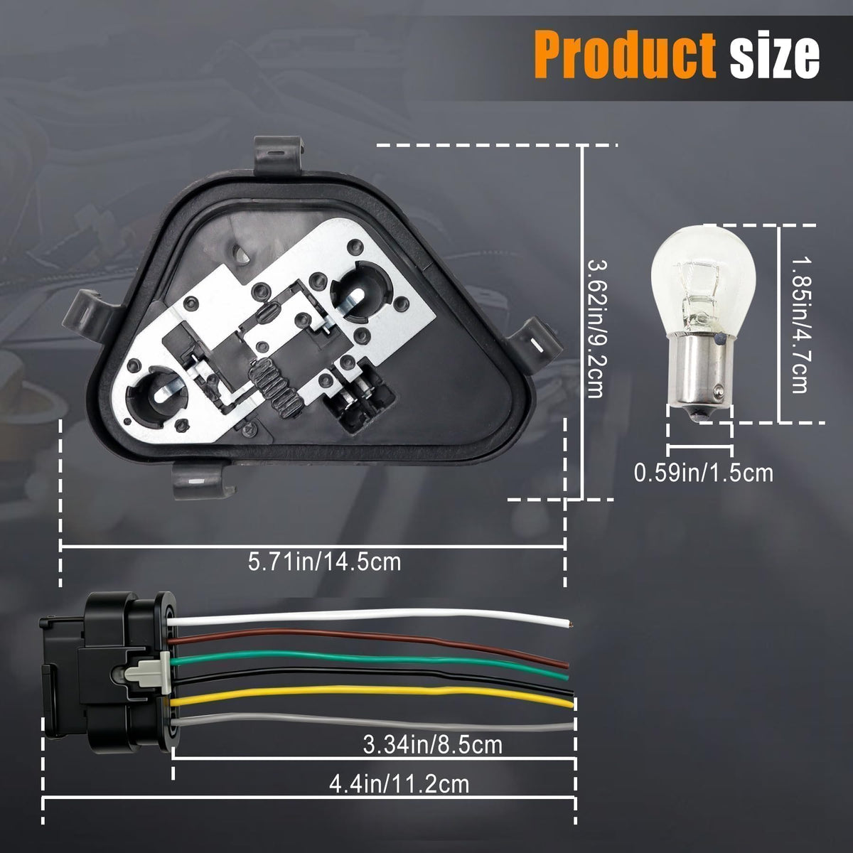 Rear Tail Light Lamp Holder Bracket Socket with Bulbs Harness Fit for BMW3