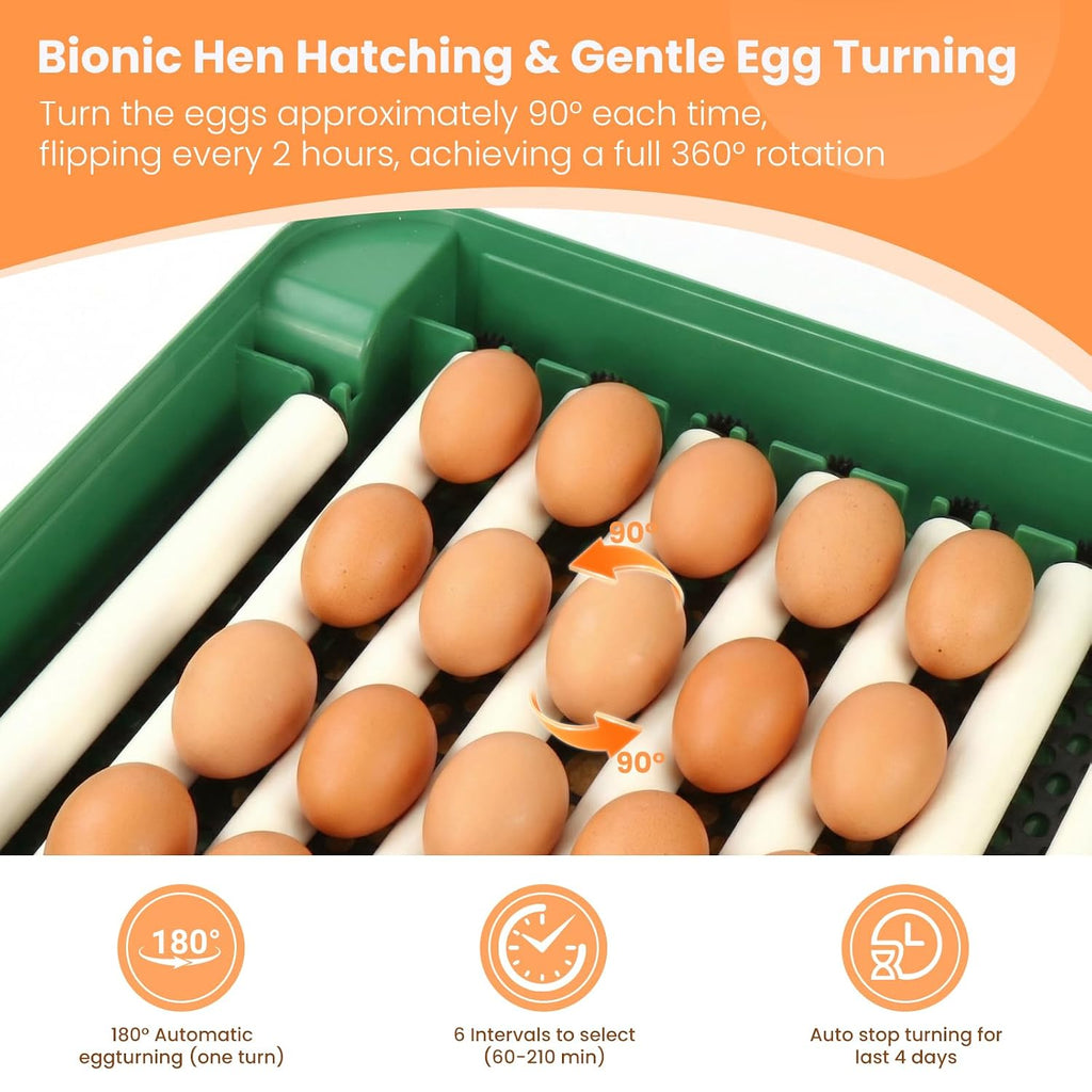 24 Egg Incubator for Hatching Eggs, 360° View Poultry Incubator, Automatic Egg Turning, Temperature & Humidity