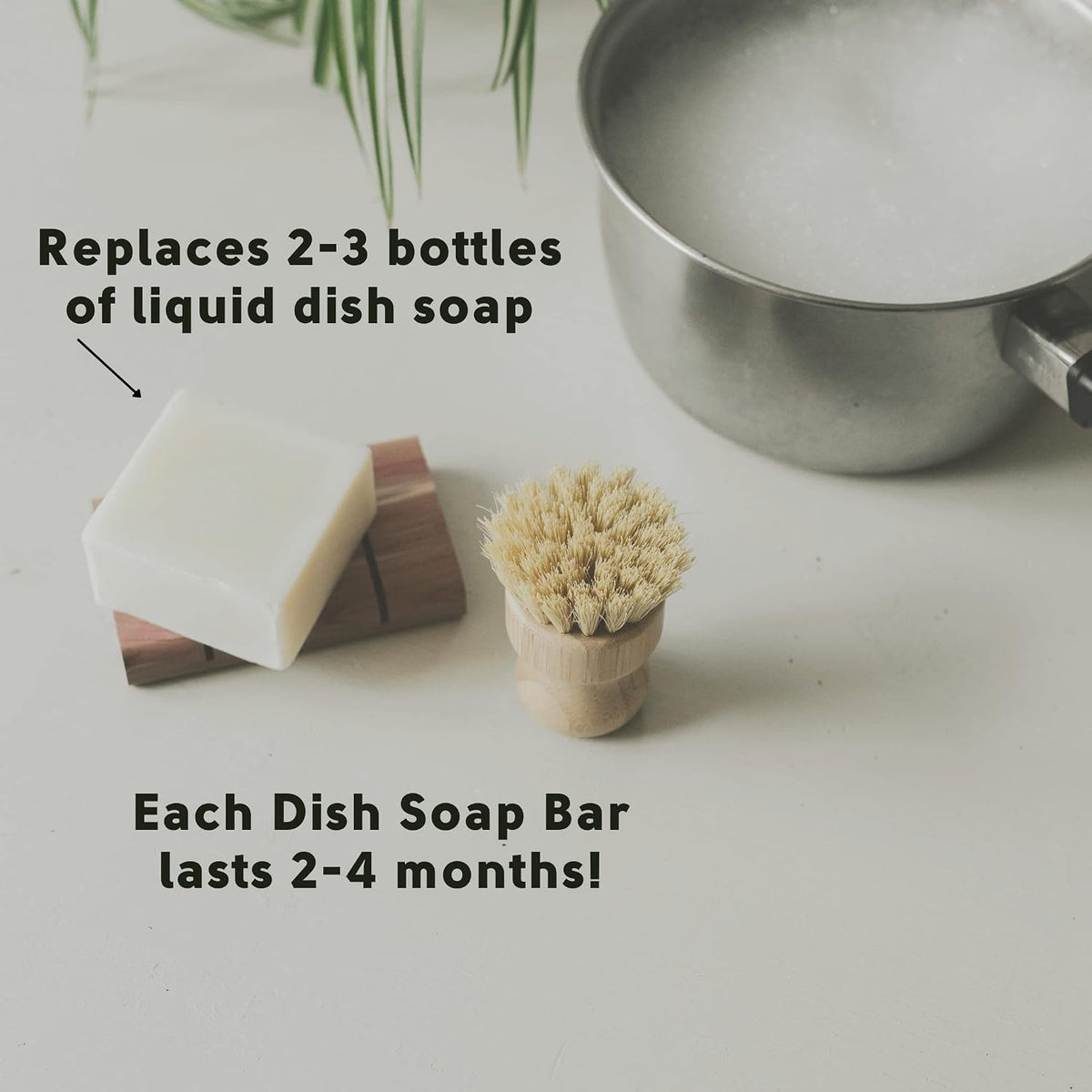 Solid Dish Soap Bar | Bergamot + Lime | Natural, Zero Waste Soap | Plastic-Free Dish Soap Block | USDA Certified