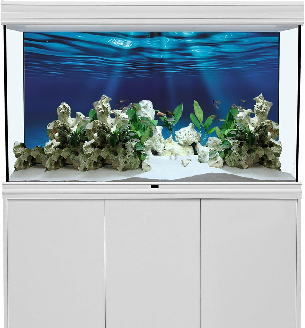 48x24 in Undersea Aquarium Backdrop Underwater Fish Tank Background