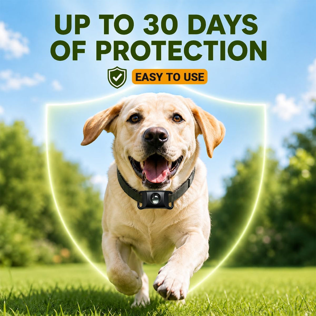 Flea and Tick Prevention Pendant for Dogs, Long Lasting 30 Days Protection, Dog Flea and Tick Collar Alternative with
