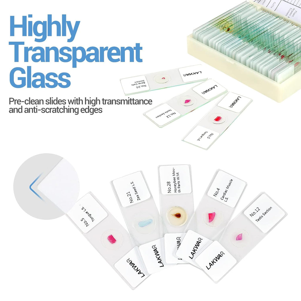 30 Microscope Slides with Specimens for Kids, Prepared Microscope Slides for Kids Microbiology, Glass Slides for