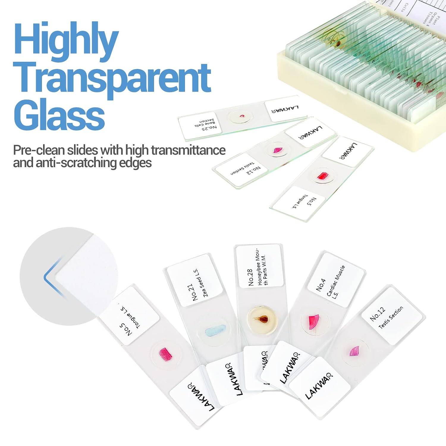 30 Microscope Slides with Specimens for Kids, Prepared Microscope Slides for Kids Microbiology, Glass Slides for