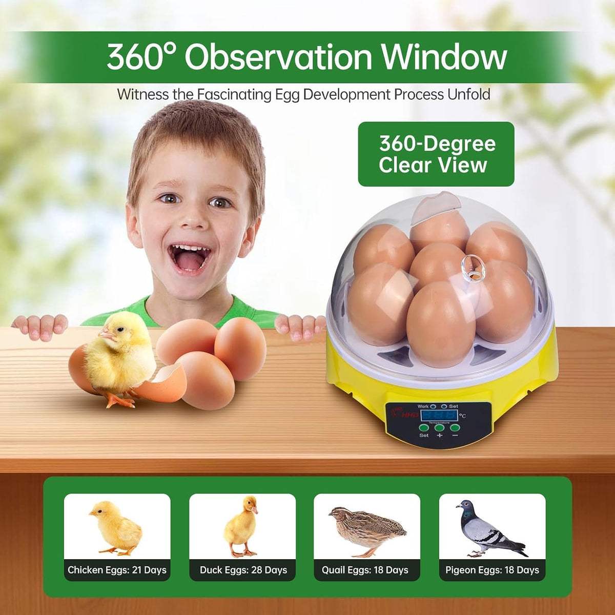 Gen 1-7 Egg Incubator for Kids & Beginners with 360° View, Manual Temperature Control for Chicken, Quail, and Parrot