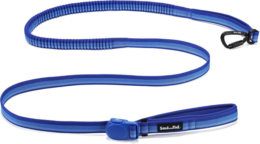 Trail Dash Dog Leash, Magnetic Buckle, Indigo Sea, 7-9FT