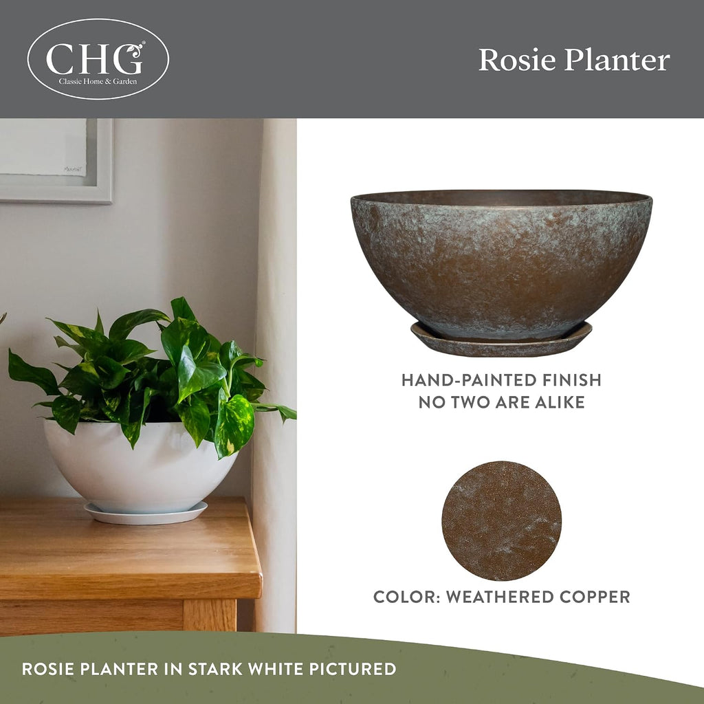 Classic Home and Garden by Growscape Rosie Modern Planter w/Drainage - Contemporary Planter Bowls - Shallow Round