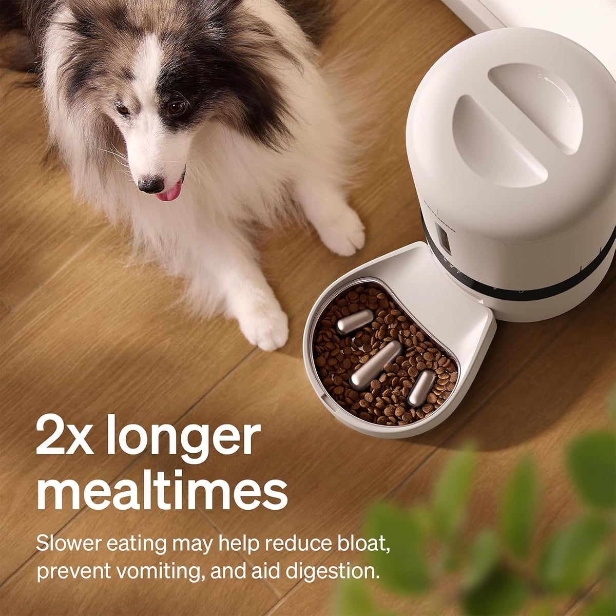 Automatic Cat Feeder with Camera, Auto Pet Food Dispenser Slow Feeder Dog Bowl, 1080P HD Video with Night Vision, 5G