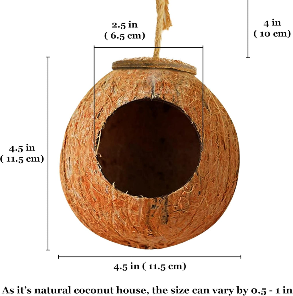 Leopard Gecko Coco Hut, Gecko Climbing Accessories, Raw Coconut Shell Reptile Hide, Terrarium Habitat Décor, 2.5”