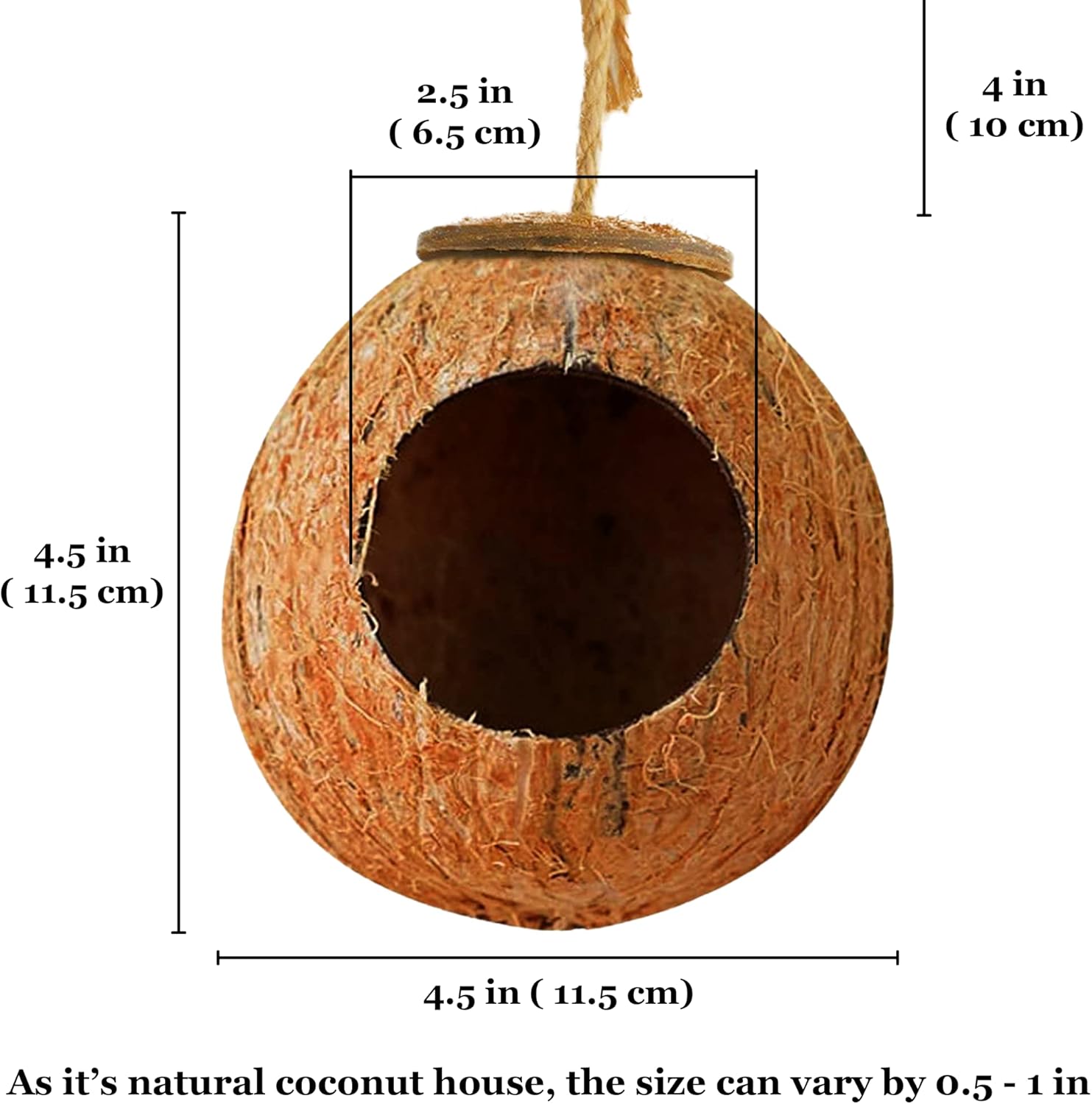 Leopard Gecko Coco Hut, Gecko Climbing Accessories, Raw Coconut Shell Reptile Hide, Terrarium Habitat Décor, 2.5”