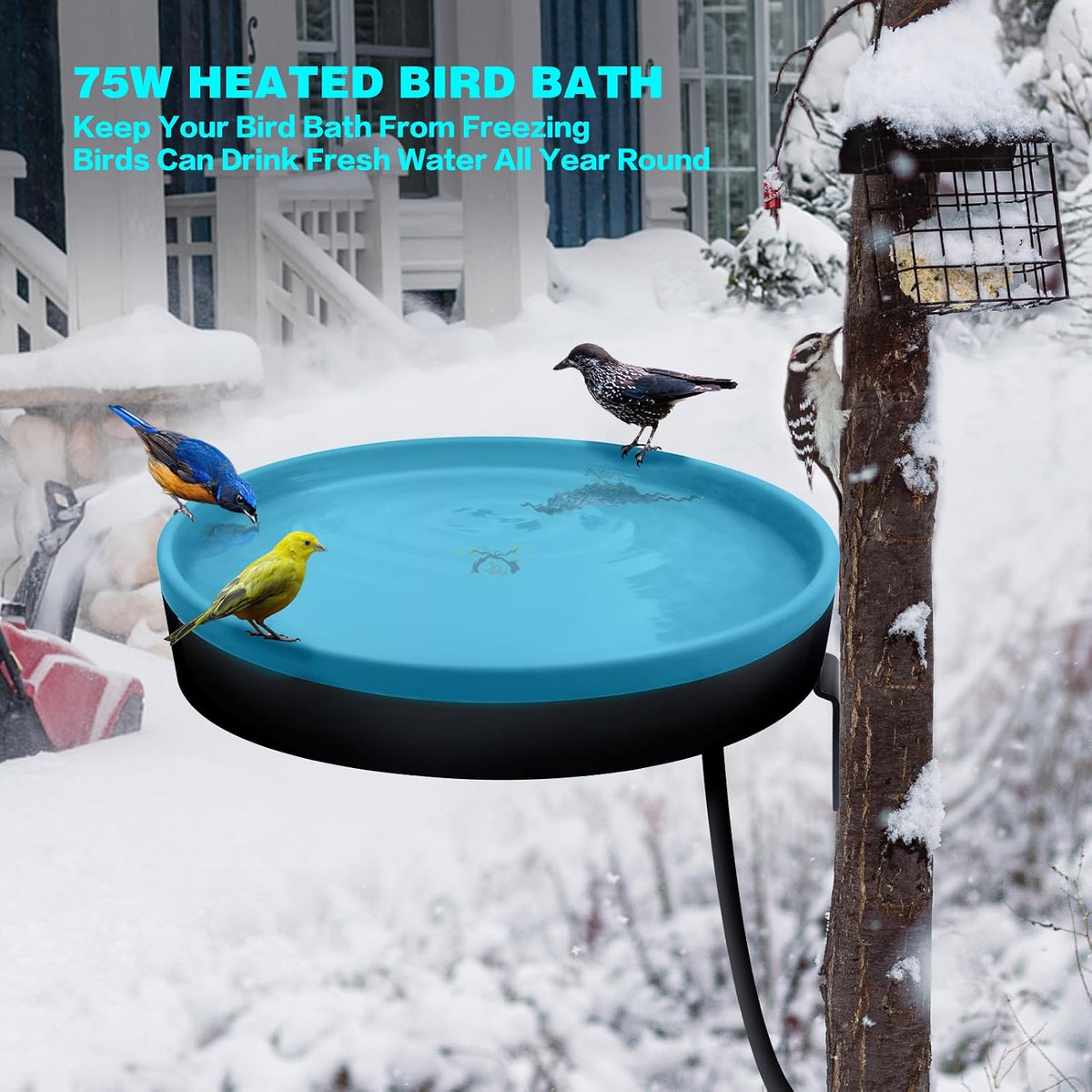 Heated Bird Bath for Outdoors for Winter, 3 Easy Ways to Mount Detachable Bird Bath Bowl, 75W Heated Bird Baths with