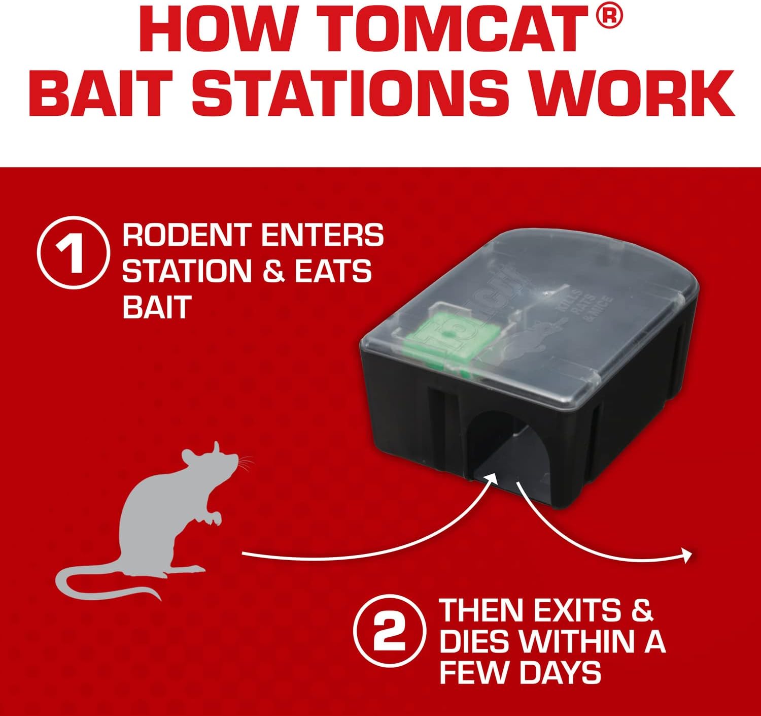 Rat & Mouse Killer, Child & Dog Resistant, Disposable Station, 8 oz. | 2 Pre-Filled Ready-To-Use Bait Stations