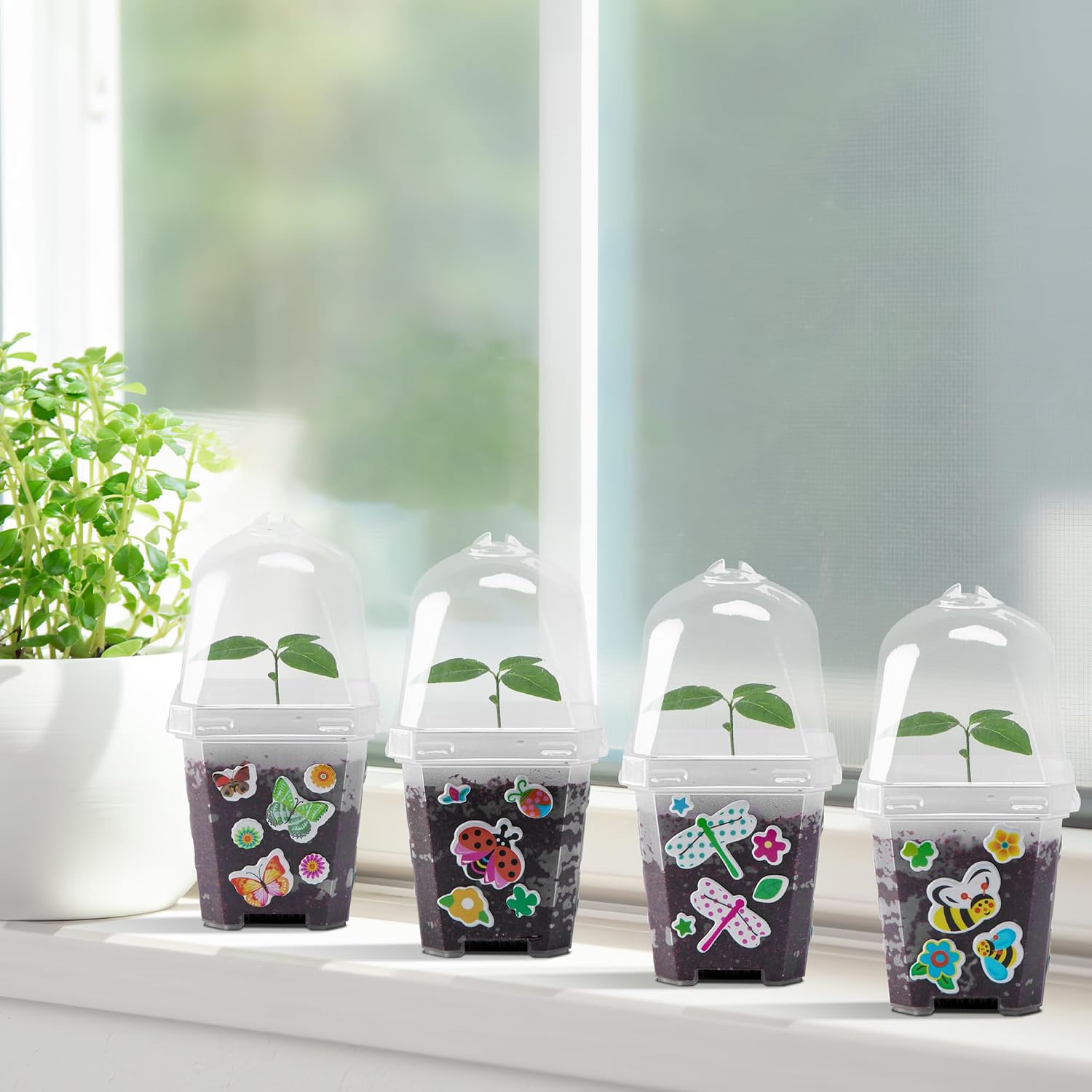 10 Pack 3 Inch Clear Plant Nursery Pots with Humidity Domes | Reusable Plastic Gardening Pot with Printed Labels