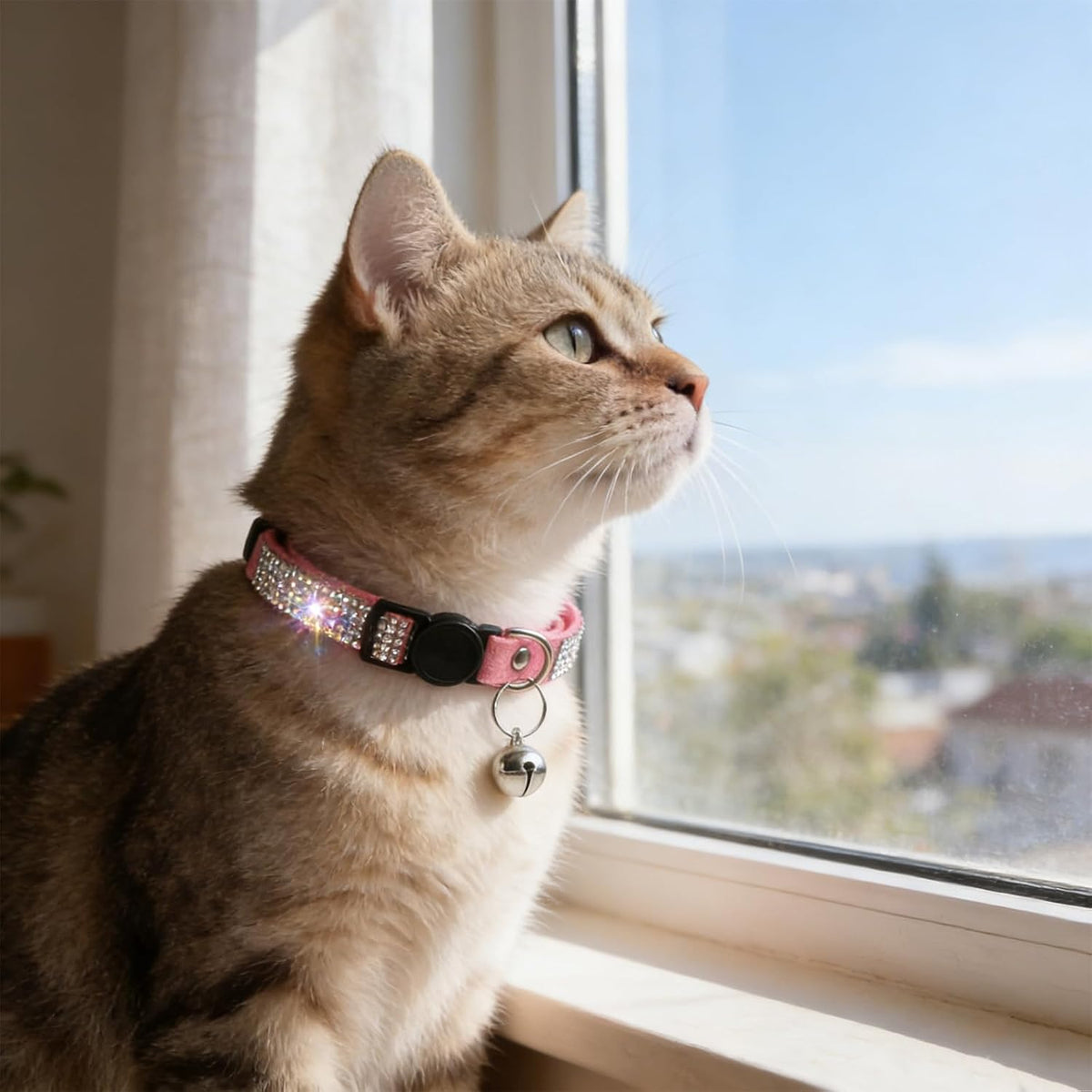 Rhinestone Cat Collar Breakaway (Pink)