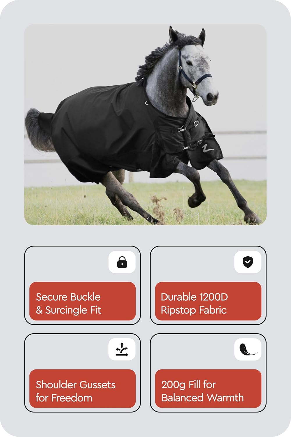 Nevada Medium Weight 1200D Waterproof Horse Turnout Blanket (200g Fill) - Black - 72 in