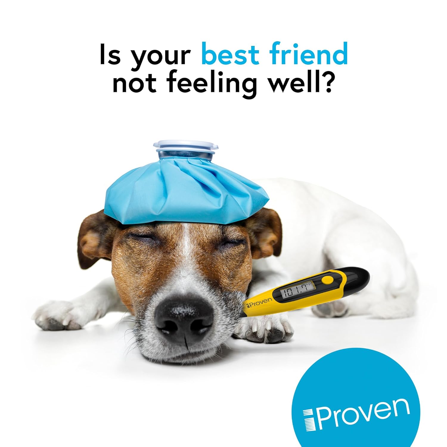 iProven Dog & Cat Thermometer for Accurate Fever Detection, Comfortable Flexible Tip, Waterproof Pet Thermometer