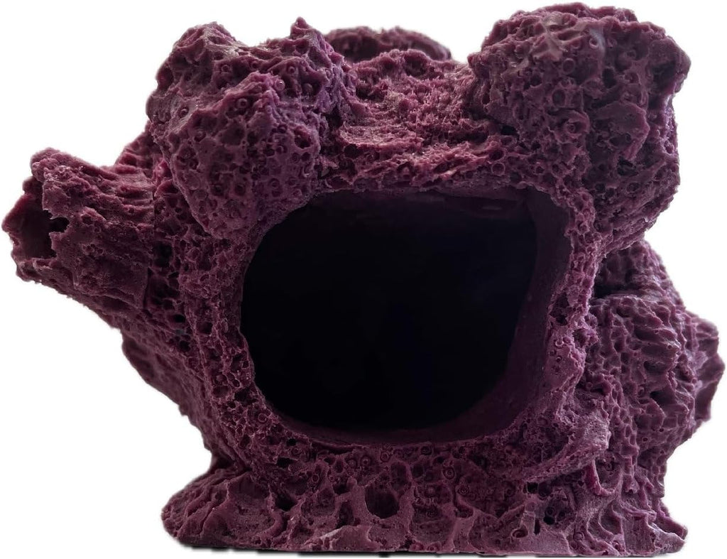 7 Hole Barnacle Cave frag Rock sandbed Base for Live Coral frag Plugs for Reef Aquariums (Coralline Purple)
