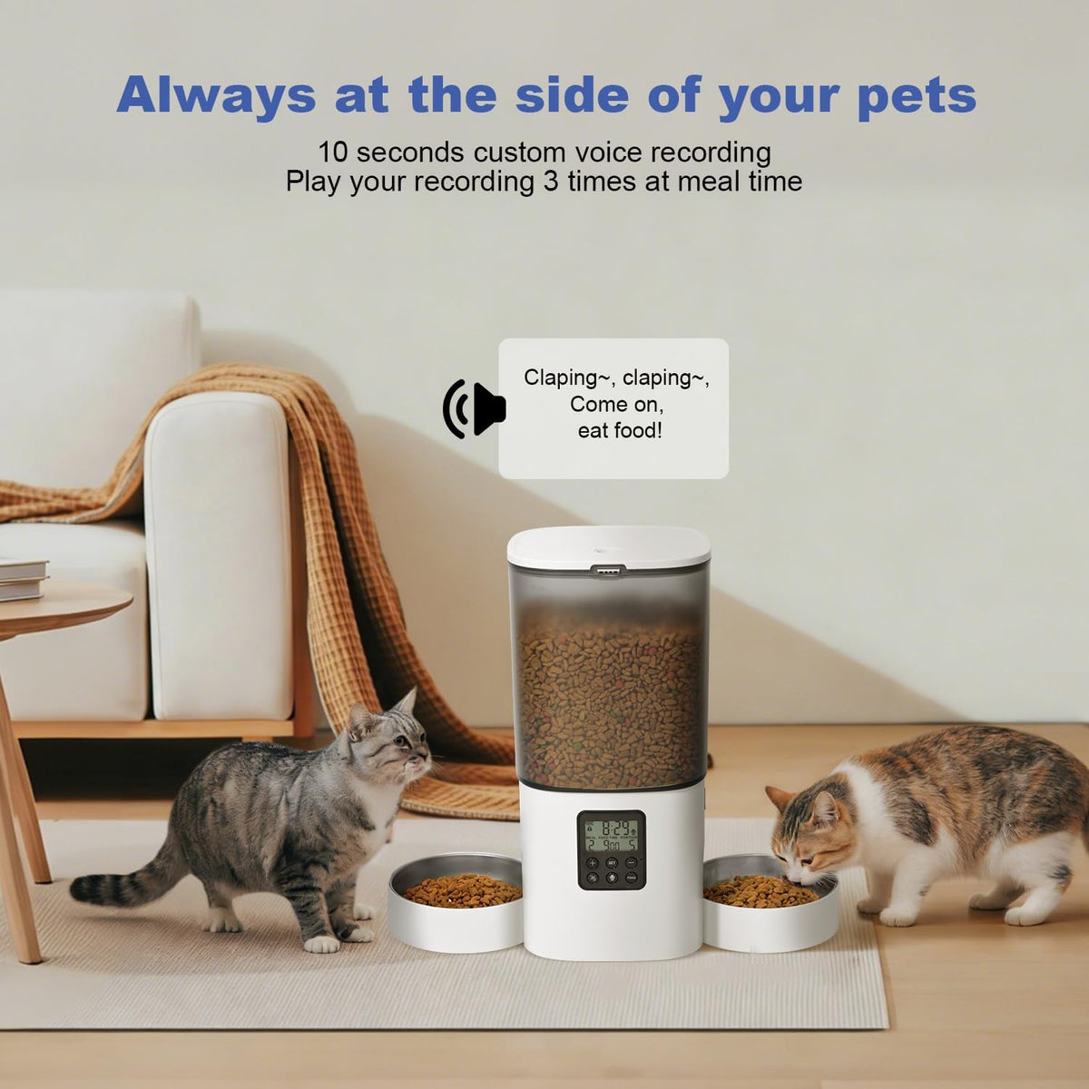 Automatic Cat Feeder for 2 Cats, 6L Cat Food Dispenser with 10s Voice Recorder, Pet Feeder up to 8 Meals per Day