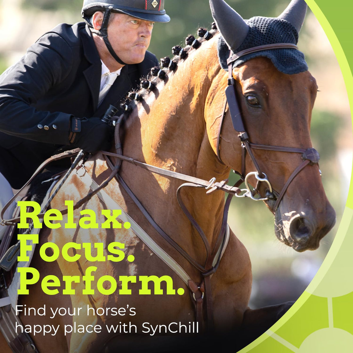 SynChill Horse Calming Supplement Gel, 2 Pack | Composure & Focus