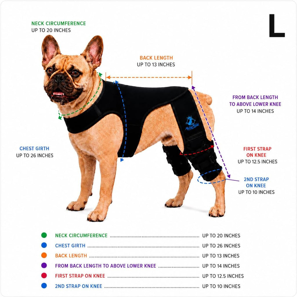 Dog Rear Knee Brace for Small & Medium Breeds, Adjustable Hind Leg Support for ACL/CCL Injury Recovery, Joint