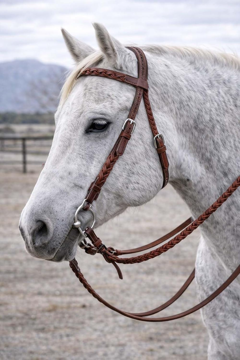 Horse Western Headstall w/Reins 78JHSReins