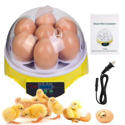 Gen 1-7 Egg Incubator for Kids & Beginners with 360° View, Manual Temperature Control for Chicken, Quail, and Parrot